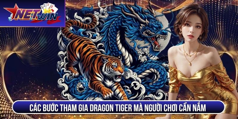 dragon tiger cac buoc