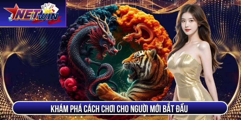dragon tiger kham pha