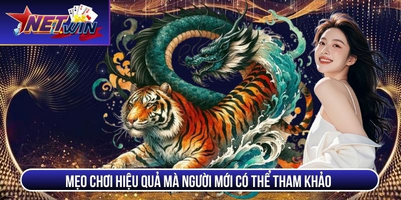 dragon tiger meo choi