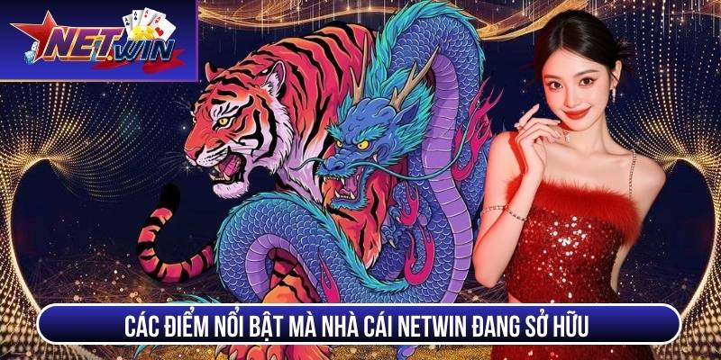dragon tiger noi bat