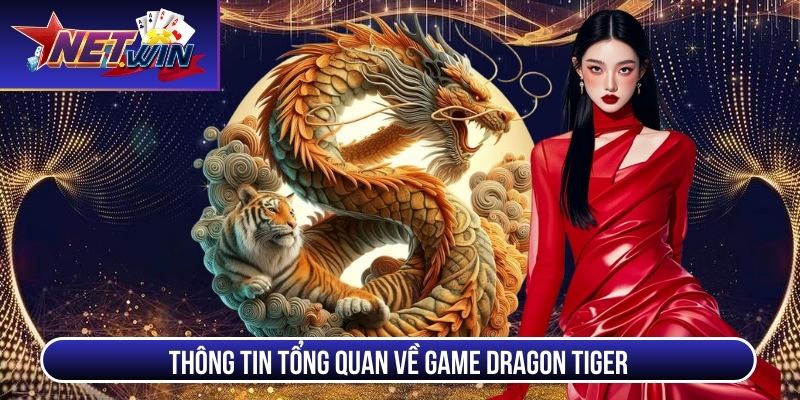 dragon tiger thong tin