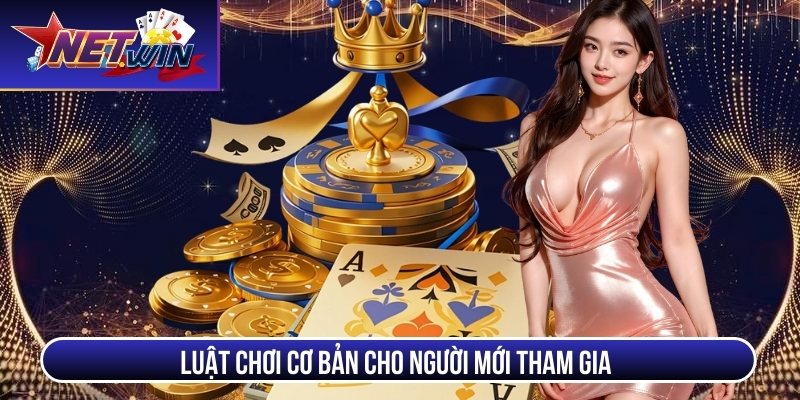 mau binh netwin luat choi