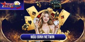 mau binh netwin thumb